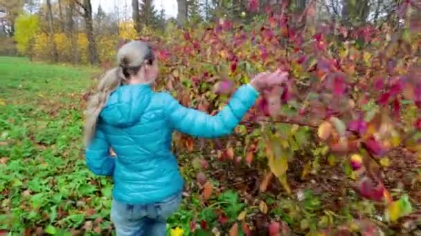 La hermosa mujer en el parque de otoño — Vídeos de Stock