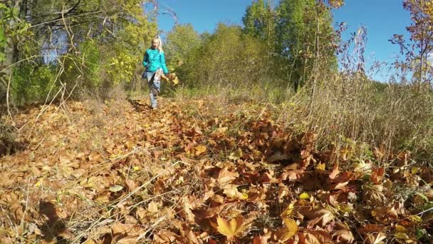 Femeia merge pe o iarbă și aruncă frunzele de toamnă căzute cu picioarele — Videoclip de stoc