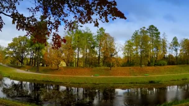 Le bois d'automne se reflète dans le lac 