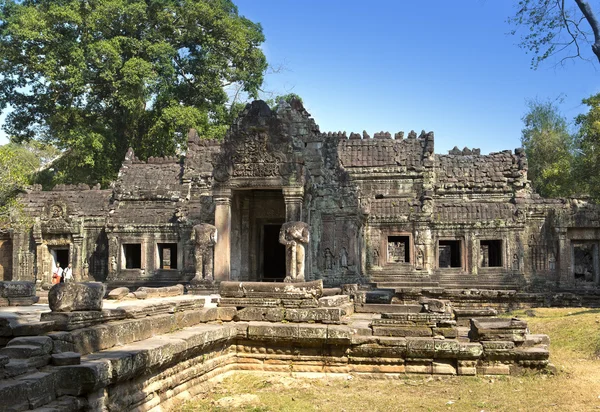 Преах-хан (переводится как "священный меч"). Деревья и руины храма, Siem Reap, Камбоджа — стоковое фото