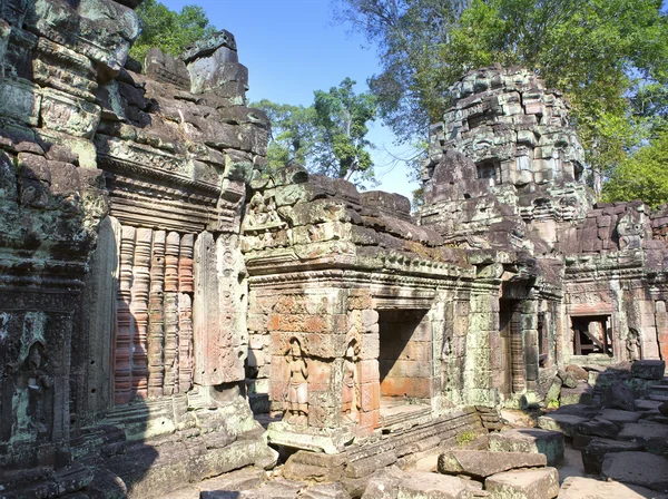Преах-хан (переводится как "священный меч"). Деревья и руины храма, Siem Reap, Камбоджа — стоковое фото