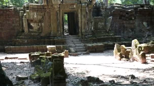 Деревья и руины храма, Siem Reap, Камбоджа — стоковое видео
