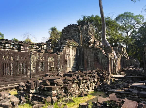 Храм Преах-хан руины (XII век) в Ангкор-Вате, Сием-Рип, Камбоджа — стоковое фото
