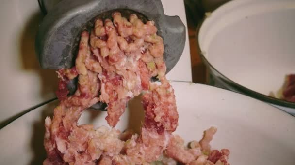 Preparação de recheio de carne em um moedor de carne elétrico — Vídeo de Stock