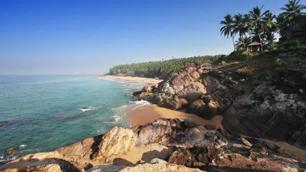 Cennet plaj taşlar ve palmiye ağaçları, havadan görünümü. Kerala, Hindistan. — Stok video