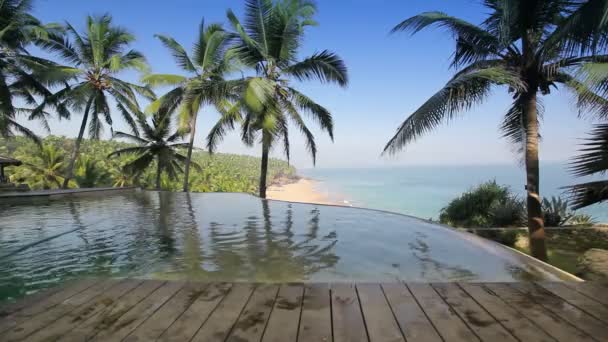 The pool on the edge of the rock overlooking the ocean and palm trees — Stock Video