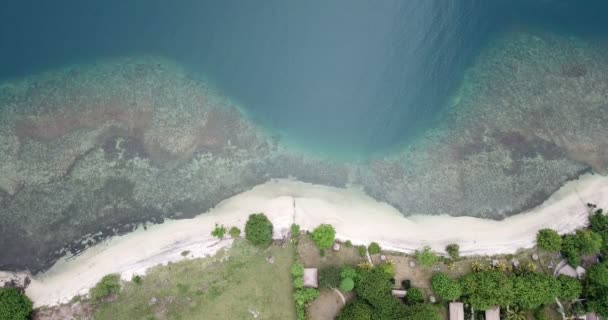 ロンボク島、インドネシア、南ギリ島。Gili Asahan島からの空中ドローンビュー。砂浜の砂とサンゴと青い海のストリップ — ストック動画