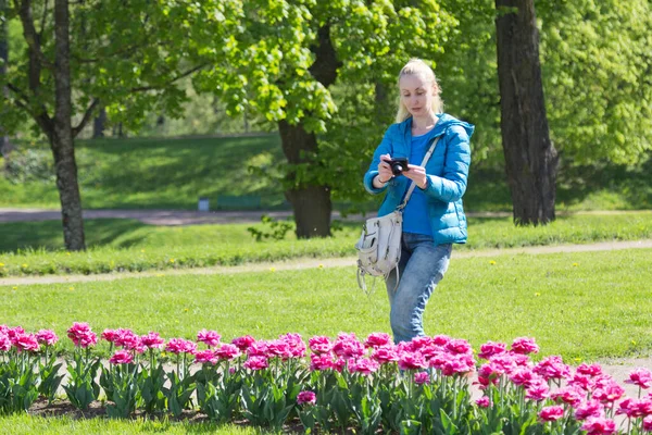 Mulher Fotografa Canteiro Flores Com Tulipas Floridas Primavera Fotos De Bancos De Imagens Sem Royalties