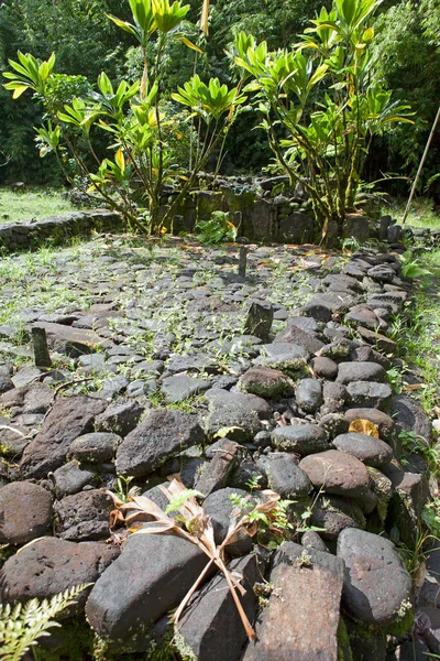 ジャングルの中の古代の神々の寺院の遺跡 ポリネシアだ タヒチ — ストック写真