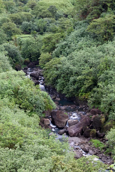 Tahiti Natura Tropicale Fiume Montagna — Foto Stock