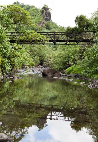 タヒチだ 山の中の川を渡る橋 ロイヤリティフリーのストック画像