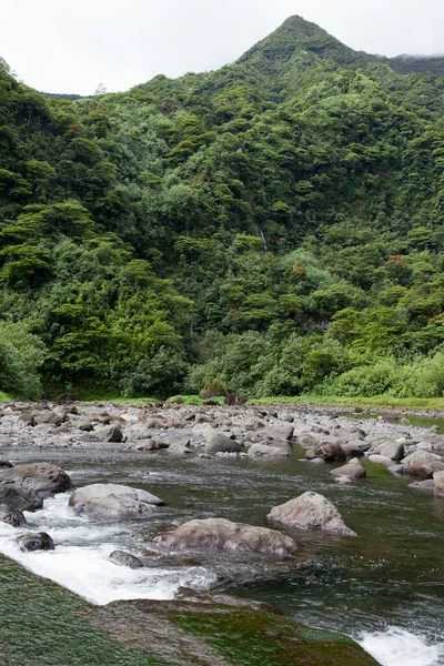 Tahiti Trópusi Természet Hegyi Folyó Stock Fotó