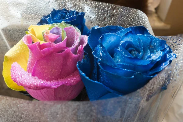 Unusual Bouquet Blooming Blue Roses Yellow Rose Pink Multicolor Stock Picture