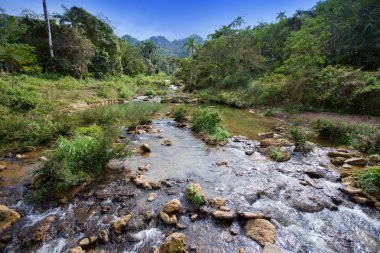 Park Soroa 'daki nehir. Küba.