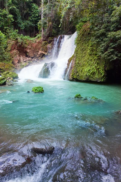 Jamaica. Cascadas del río Dunn —  Fotos de Stock