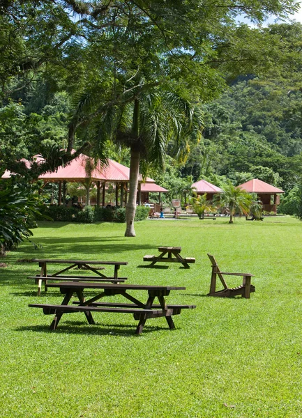 Jamaica. Ruhebänke im Park auf dem grünen Rasen — Stockfoto