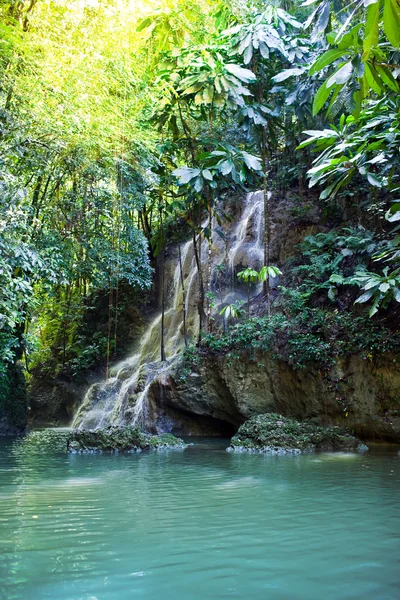 Jamaica. Small waterfalls in the jungle — Stock Photo, Image