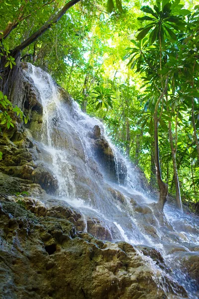 Jamaika. Kleine Wasserfälle im Dschungel — Stockfoto