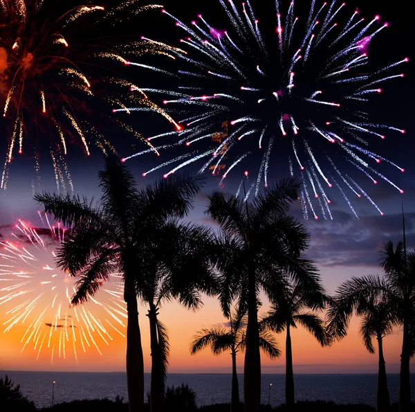 Yeni yıl'ın fireworks tropik ada üzerinde