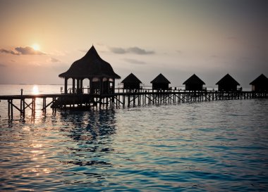 Siluet ağaç dikme ve evleri su günbatımı., retro efektli istirahat için üzerinde