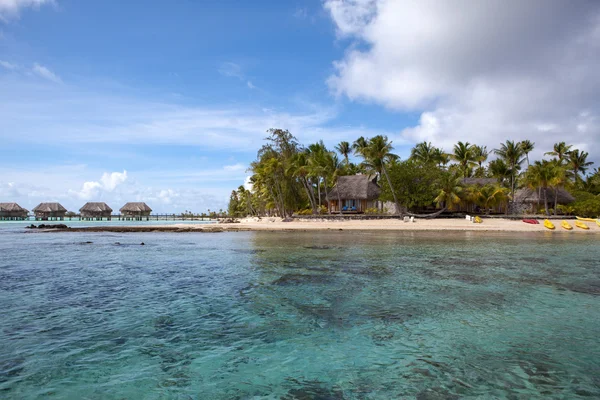 Seacoast with palm trees and small houses on water. — Stock Photo, Image