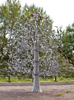 Düğün ağaç. Narva, Estonya. Düğün günü broşürler isimleri ile eklemek