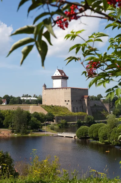 エストニア。ナルヴァ。ロシアとの国境に古代の要塞 — ストック写真