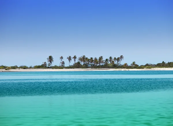 A ilha com palmeiras no oceano — Fotografia de Stock