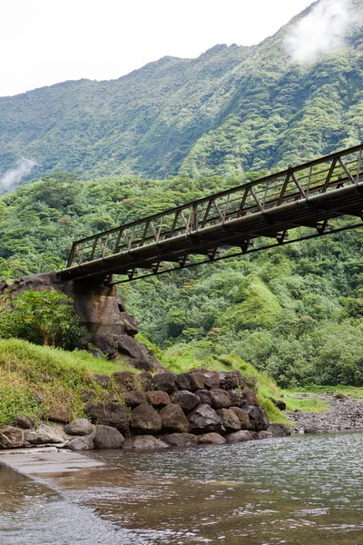 Taiti. A ponte através do rio nas montanhas. — Fotografia de Stock