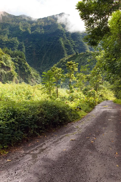 La montaña en una niebla y las nubes y la carretera. Naturaleza tropical. Tahití. Polinesia — Foto de Stock