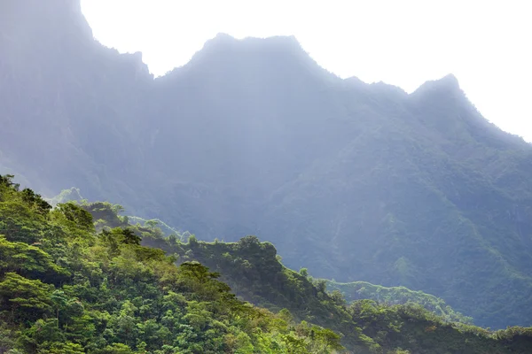 Tahiti. Polinezyası. Bulutların üzerinde bir dağ manzarası