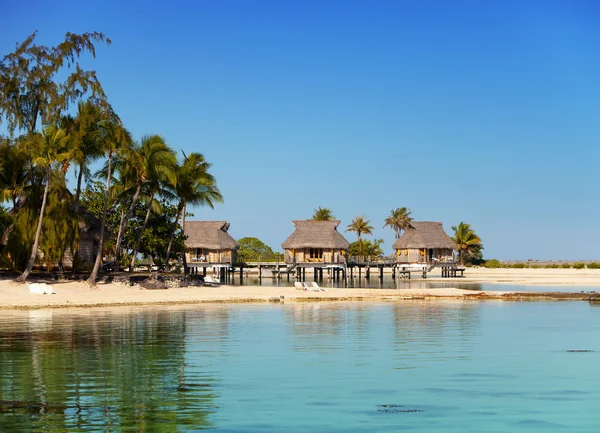 Costa con palmeras y casitas en el agua — Foto de Stock