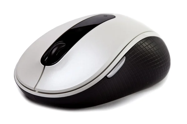 Computer mouse — Stock Photo, Image