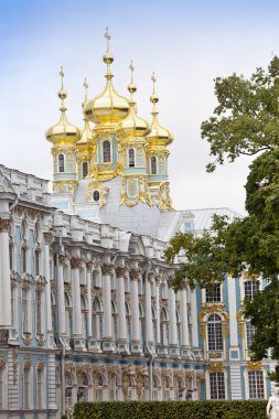 Katherine 'in Tsarskoe Selo' daki sarayı (Puşkin), Rusya