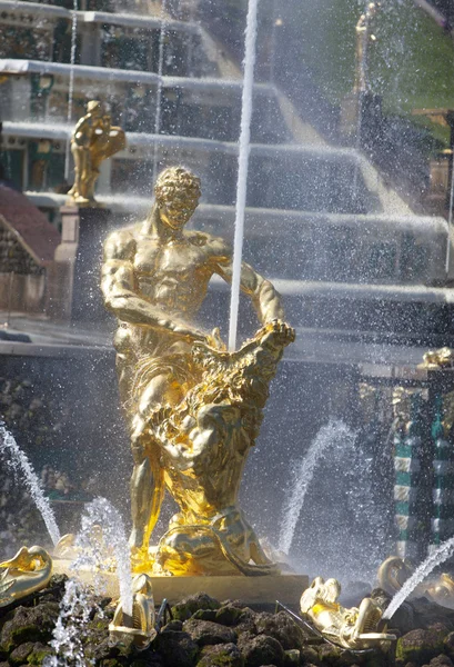 Fonte Sansão em Peterhof — Fotografia de Stock