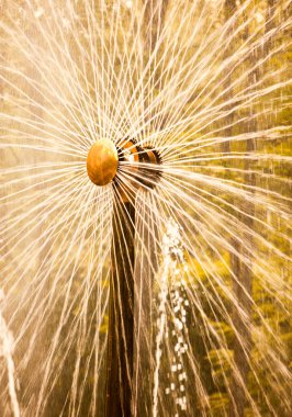 Petrodvorets. Çeşme güneş.