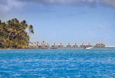 Tipik Polinezya manzarası - Palmiye ağaçları ve su üzerinde küçük evleri olan deniz manzarası.