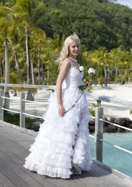 Die junge schöne Frau im Kleid der Braut auf der Brücke über den Meerrand. Polynesien. Bora-Bora — Stockfoto