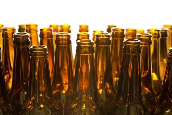 Empty glass beer bottles — Stock Photo, Image