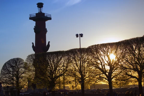 Russia. Petersburg. An arrow of Vasilevsky island and Rostral columns — Stock Photo, Image