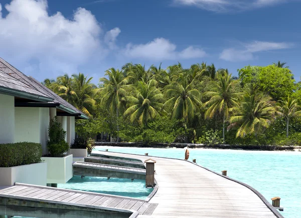 Houses over the transparent quiet sea water  and a palm tree — Stock Photo, Image