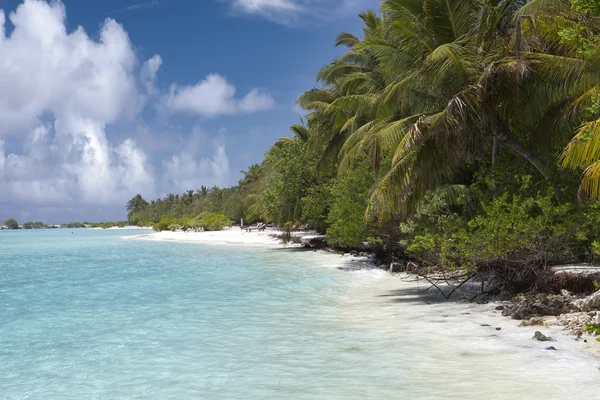 Песчаный пляж в голубом море. Мальдивы — стоковое фото