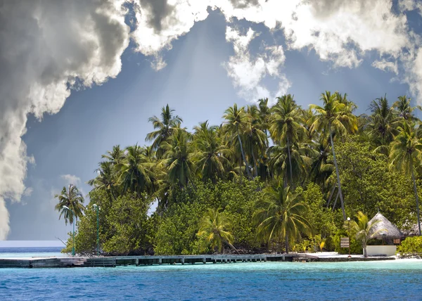 La isla con palmeras en la ocea —  Fotos de Stock