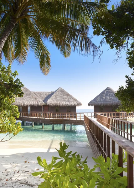 Blick auf das Meer und das Haus auf dem Wasser durch grüne Blätter — Stockfoto