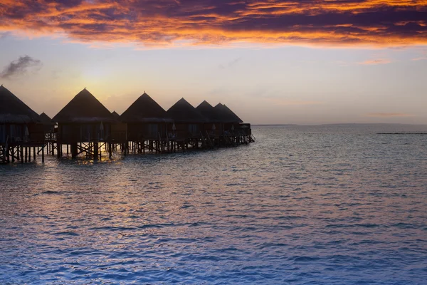 Okyanusu, Maldivler Adası. gün batımı.