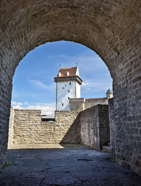 Virossa. Narvassa. Muinainen linnoitus Venäjän rajalla — kuvapankkivalokuva
