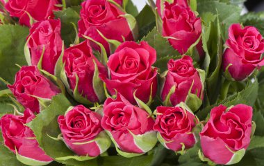 kırmızı gül buketi