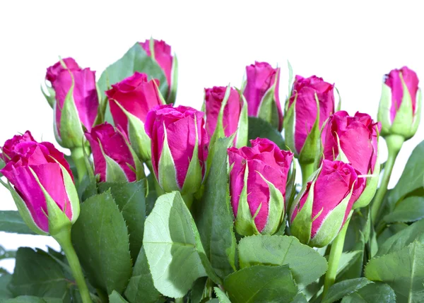 Red roses bouquet — Stock Photo, Image