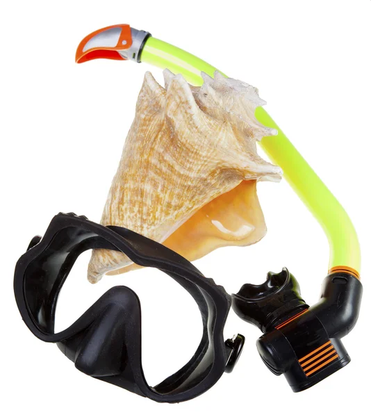 Dalış için tüp (şnorkel), büyük deniz kabuğu ve maske — Stok fotoğraf
