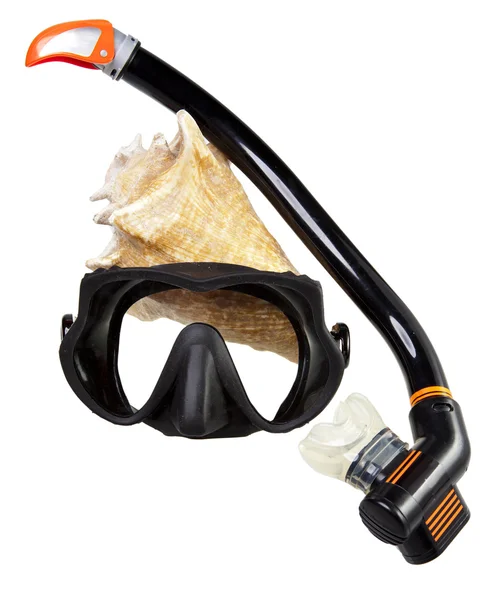 Tubo per immersioni (snorkeling), grande conchiglia e maschera — Foto Stock